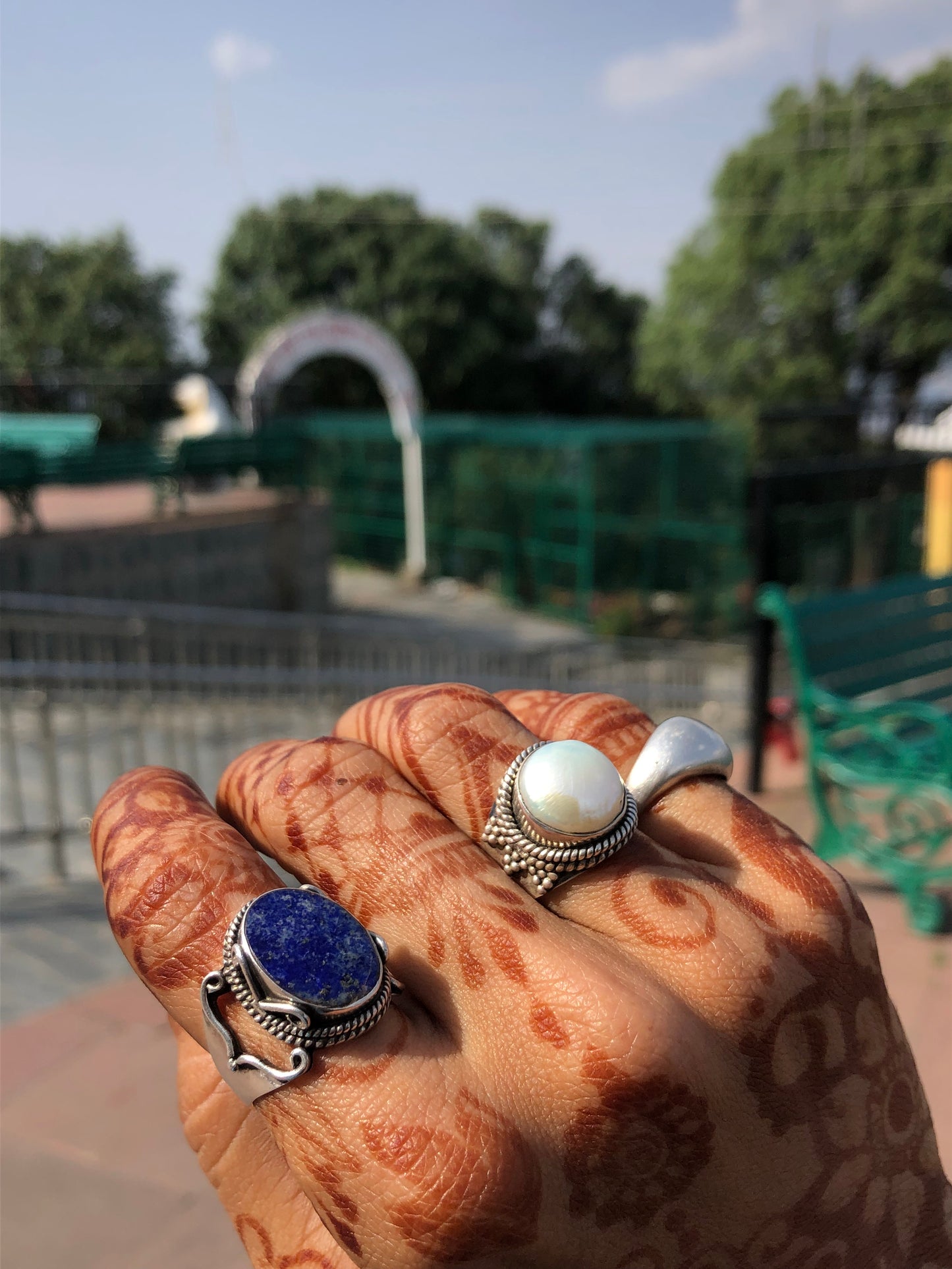 anel Vidya विद्या